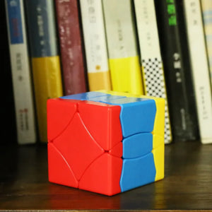 SengSo Bird Cube, a unique and fun twist puzzle with a bird-shaped design that offers an exciting solving challenge
