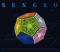 [PRE-ORDER] Shengshou Petaminx (9 Layer Minx) Speed Cube Puzzle - DailyPuzzles