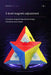 [PRE-ORDER] Moyu Weilong Magnetic Pyraminx - DailyPuzzles